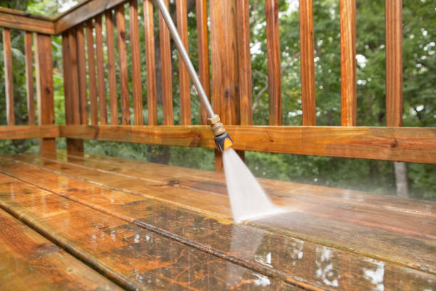 Best Residential Pressure Washing Services  in Eaton, IN